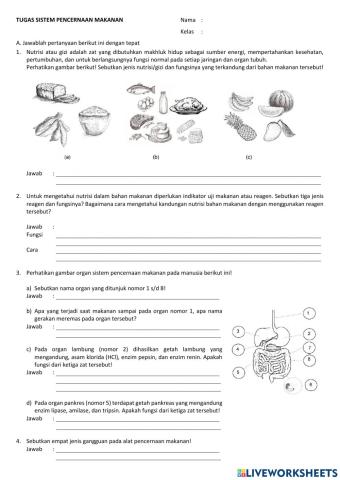 Sistem pencernaan makanan