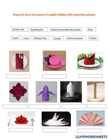 Napkin folding
