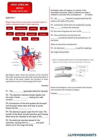 PKI Biologi Tingkatan 5 - DLP