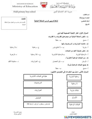 المملكة النباتية