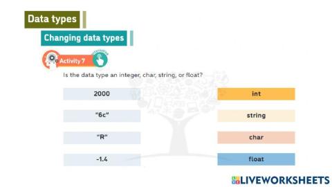 Data Type