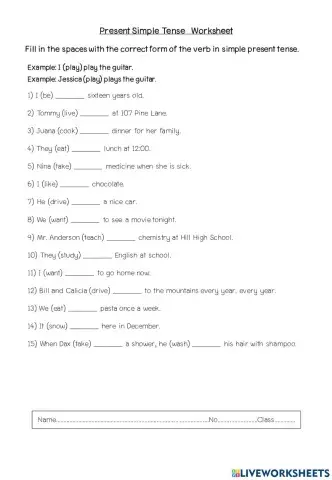 Present Simple Tense 1