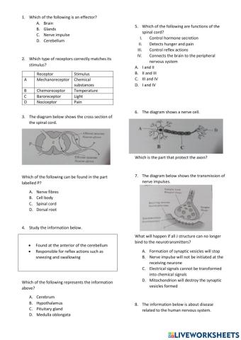 Form 4 biology chapter 12 and 13