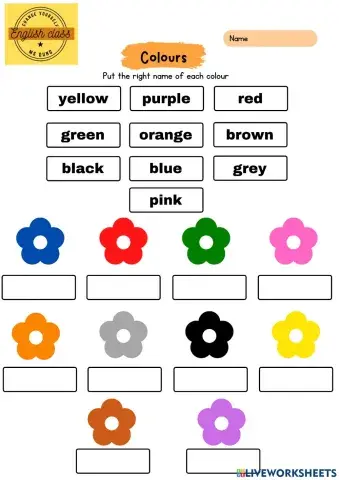 Colors Grade 1