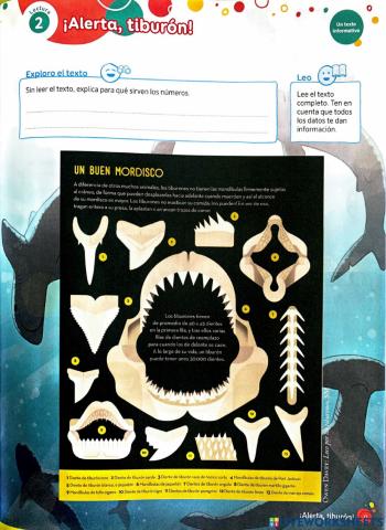 Lectura: ¡Alerta, tiburón!