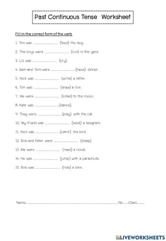 Past Continuous Tense 2