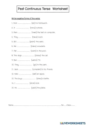 Past Continuous Tense 3