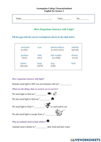 How Organisms Interact with Light worksheet