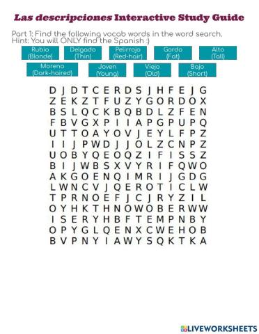 Study Guide Descriptions in Spanish