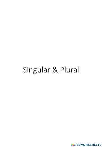 Singular and Plural Nouns