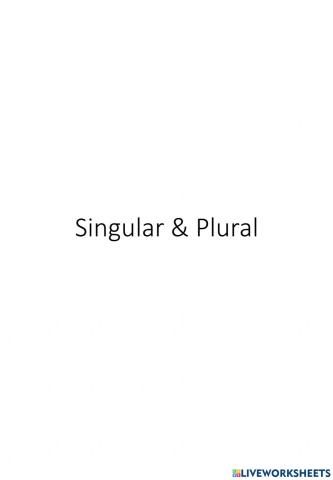 Singular and Plural Nouns