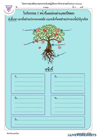 หน้าที่ส่วนประกอบของ ดอก