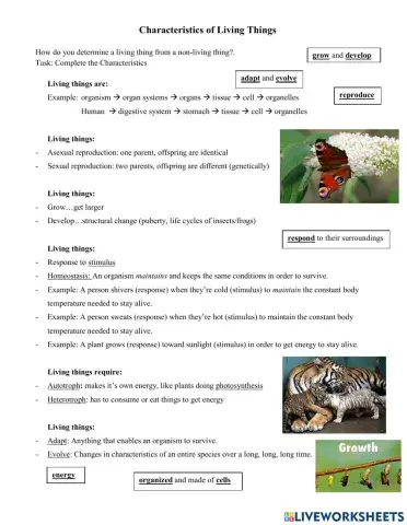 Characteristics of living beings