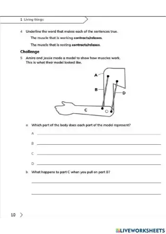 G3 Unit 1.3 Skeleton and movement