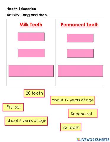 Teeth and Tooth Care