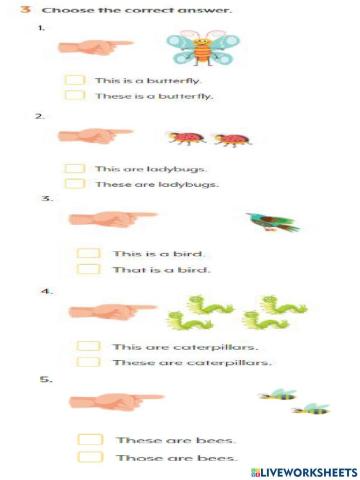 Demostrative pronouns