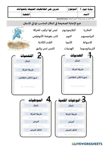 تمرين على الطلائعيات الشبيهة بالحيوان