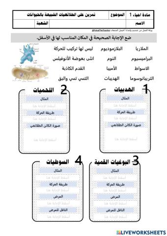 تمرين على الطلائعيات الشبيهة بالحيوان