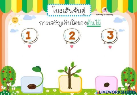 เรียงลำดับ