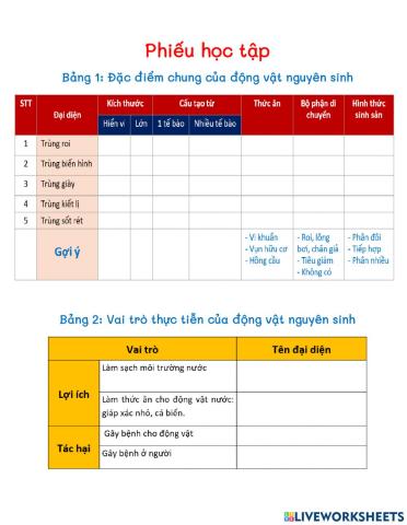 Đặc điểm chung và vai trò của động vật nguyên sinh