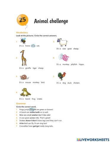 Unit 25 - Animal challenge FFS