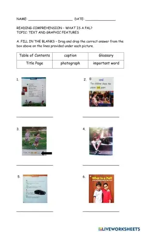 Text and Graphic Features