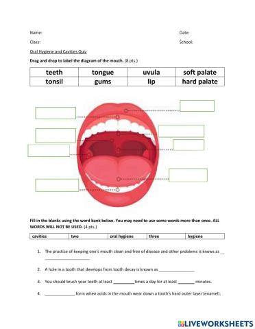 Oral Hygiene and Cavities