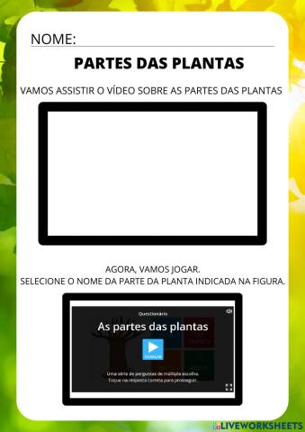 Partes das plantas - vídeo e jogo wordwall