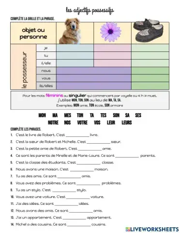 Les adjectifs possessifs