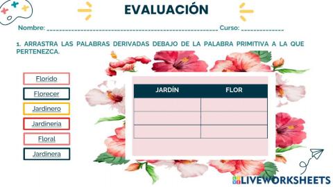 Evaluación familias y acentuación