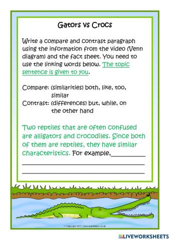 Gators vs Crocodiles Writing