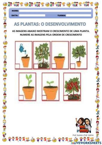 As Plantas: O Desenvolvimento