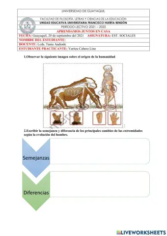 Origen de la humanidad