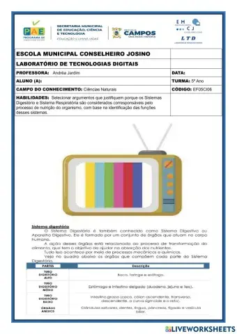 Sistemas digestório e respiratório