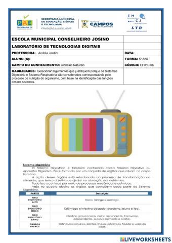 Sistemas digestório e respiratório