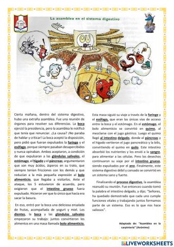 La asamblea en el sistema digestivo