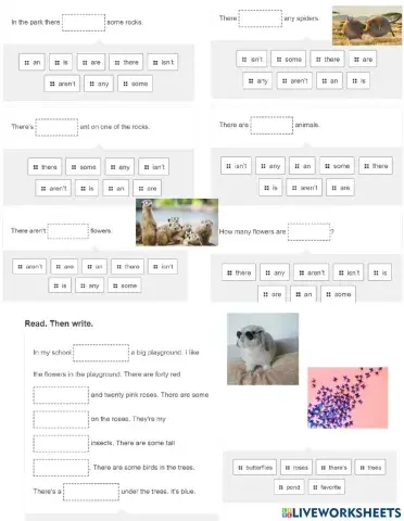 Nature grammar practice
