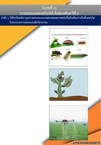 ใบงานที่ 13 ม.2