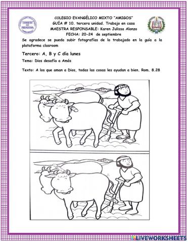 Dios desafía a Amós