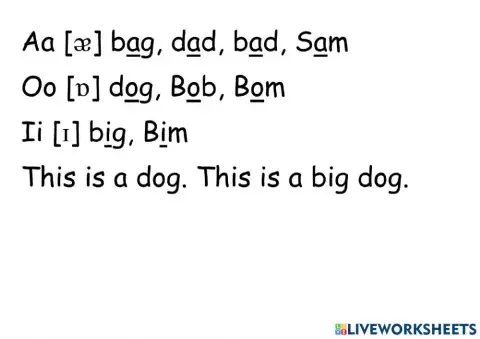 Magic Box 2, lesson 2