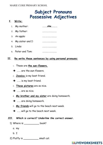 Grade 2 unit 0 grammar 2 practice 2