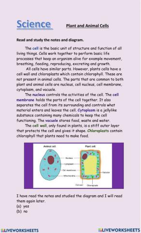 Plant and cells notes