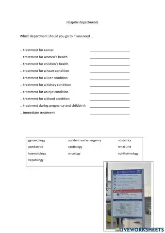 Hospital Departments