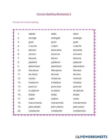 Correct Spelling Worksheet 3