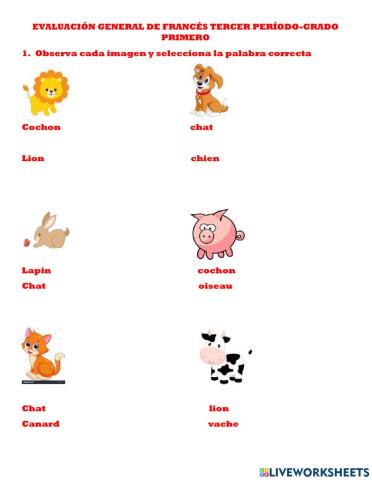 Evaluación de frances