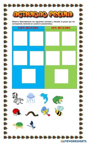 Animales con hueso y sin huesos