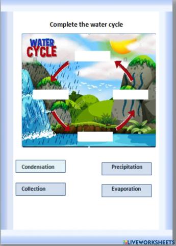 Water cycle