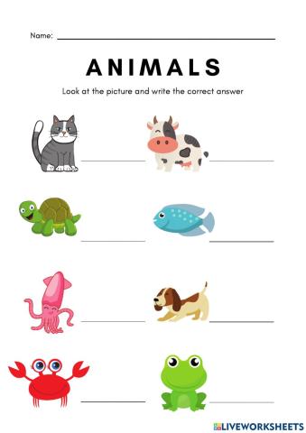 Animal worksheet