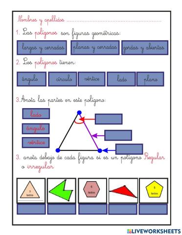 Polígonos regulares e irregulares