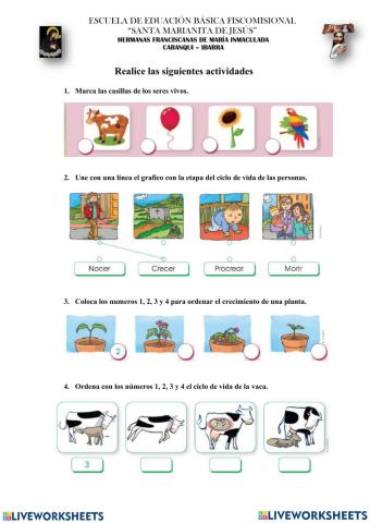 ACTIVIDADES CIENCIAS NATURALES